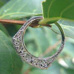 ring profile.jpg ring profile.jpg