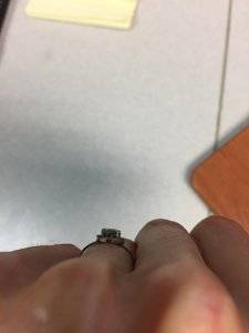 IMG_6371.JPG