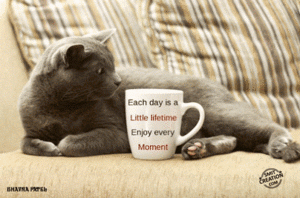eachday.gif