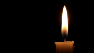 IMG_6066.PNG