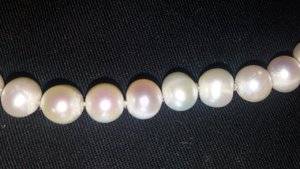 20181031_094613.jpg