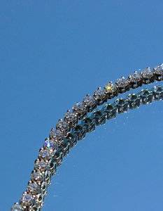 IMG_9228.JPG