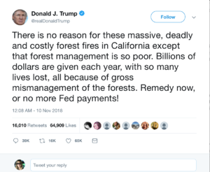 Screen Shot 2018-11-10 at 11.06.09 AM.png