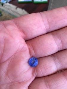 2.50 Cornflower blue sapphire inside natural light 2.JPG 2.50 Cornflower blue sapphire inside natural light 2.JPG