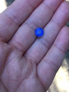 2.50 Cornflower sapphpire outside shade 2.JPG 2.50 Cornflower sapphpire outside shade 2.JPG