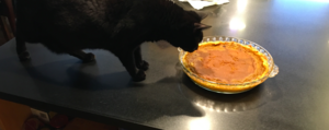 pumpkinpieglutenanddairyfree.jpg.png