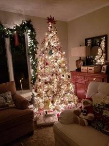 20181124_204403.jpg