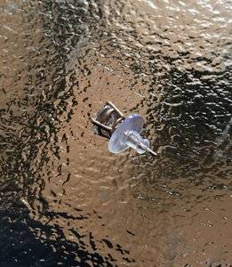 118B2420-F3E2-40F4-BE1E-A972011705C6.jpeg