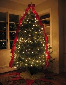 IMG_2504 2.jpg