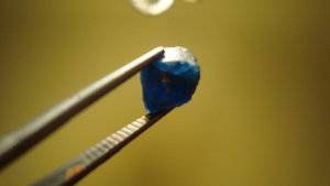 DSC01101.JPG