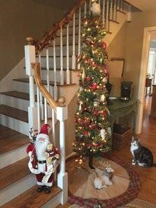IMG_1670.JPG