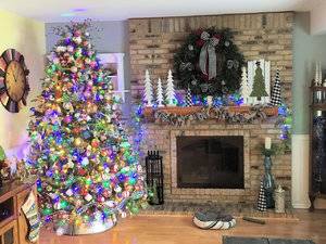 Big Tree4.jpg