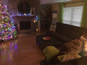 IMG_4517[1].jpg