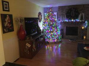 IMG_4518[1].jpg
