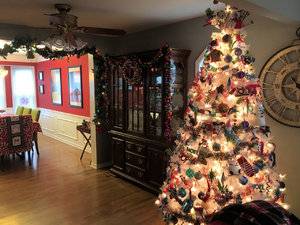 IMG_4511[1].jpg