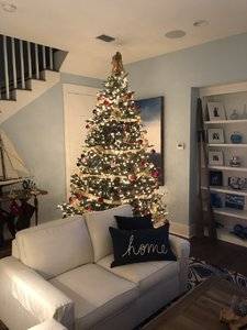 17B45E38-A766-473C-AE7B-18E5ADCF3B5C.jpeg