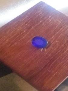 20181201_233607.jpg