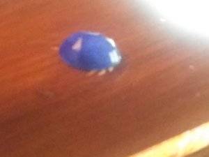 20181201_233908.jpg