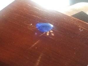 20181201_233147.jpg