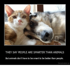 they-say-people-are-smarter-than-animals-but-animals-dont-14822655.png