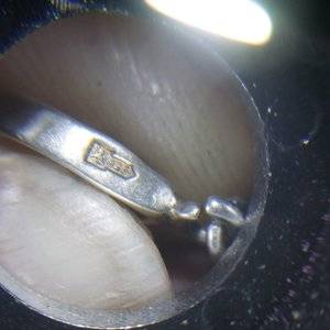 20181207_034552.jpg