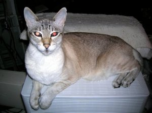 on monitor 1.jpg