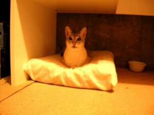 under desk 1.jpg