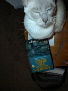 DSC0055834534.jpg