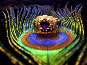 Peacock4.1.JPG