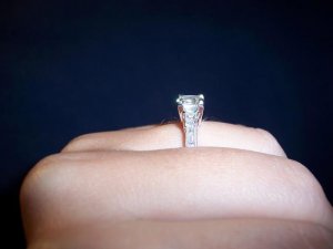100_1377(2).JPG