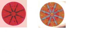 Idealscope & Aset.JPG