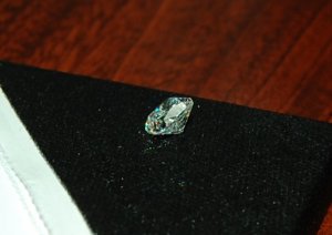 DSC_0225.jpg
