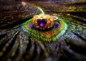 Peacock5.JPG
