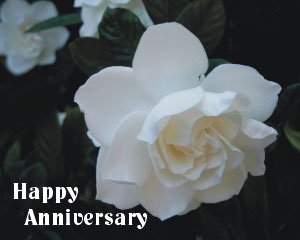 happy-anniversary-gardenia-2.jpg