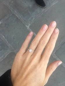 IMG_4533.JPG IMG_4533.JPG