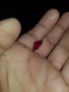 20181212_035820.jpg