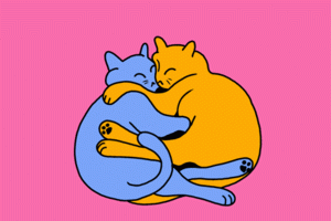 hugcats.gif