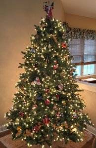 2F1F1213-BAAD-418E-BB86-46037A5A44DF.jpeg