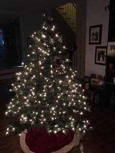 68050963-9B7E-4B89-A707-DE6B616EA693.jpeg
