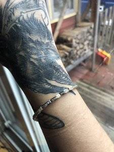 IMG_0667.jpg