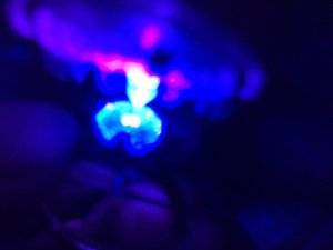 CE03EF45-04D6-4831-B901-549817D5A3D0.jpeg