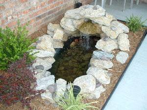Fish Pond.JPG