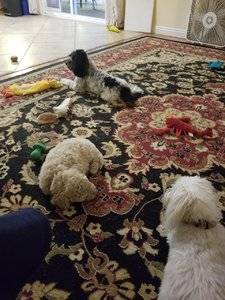 20181227_164112.jpg