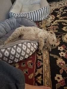 20181226_080618.jpg