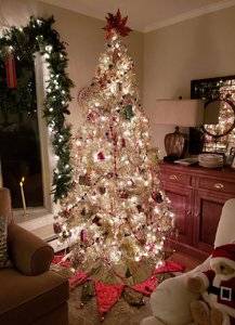 20181230_214120.jpg