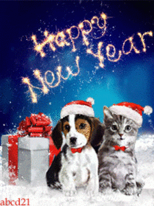 225653-Happy-New-Year-Gif-With-Cat-And-Dog.gif