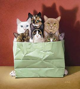 catsinbag.jpg