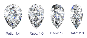Pear 1 L-W.png