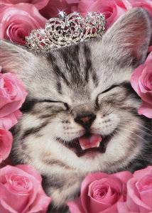 kitten birthday.jpg