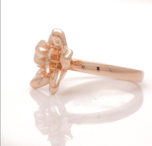 dk ring.png